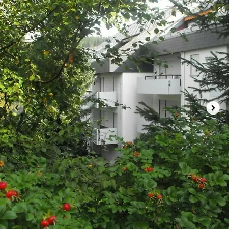 Ferienwohnung Tanja - Oase Der Stille - - A31312 Appartamento