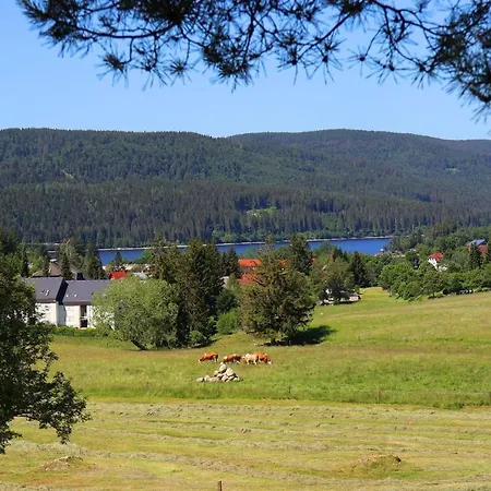 Ferienwohnung Tanja - Oase Der Stille - - A31312 Appartamento
