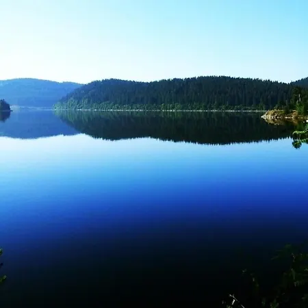 Ferienwohnung Tanja - Oase Der Stille - - A31312 Appartamento Schluchsee